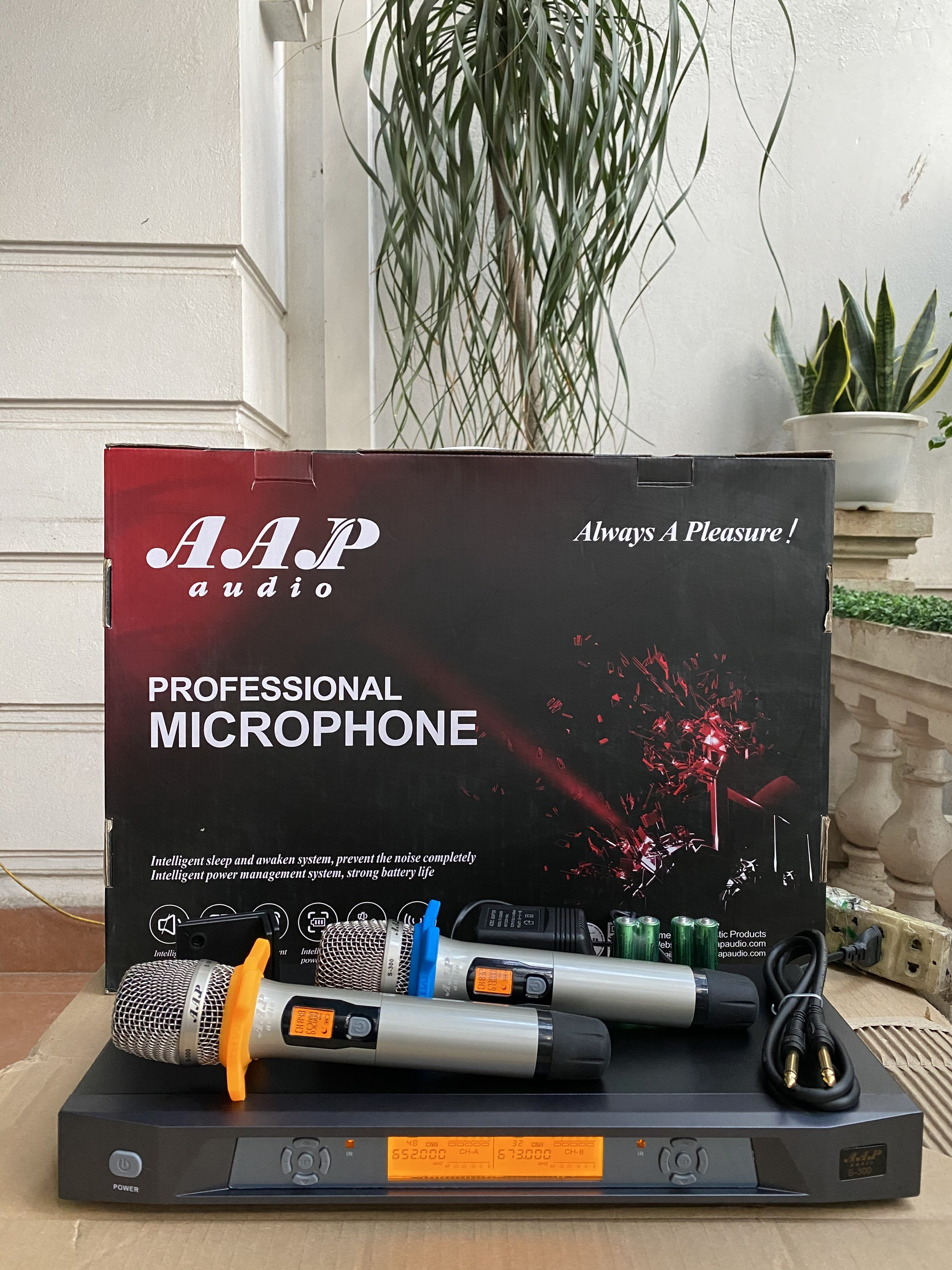 Micro karaoke AAP S 300